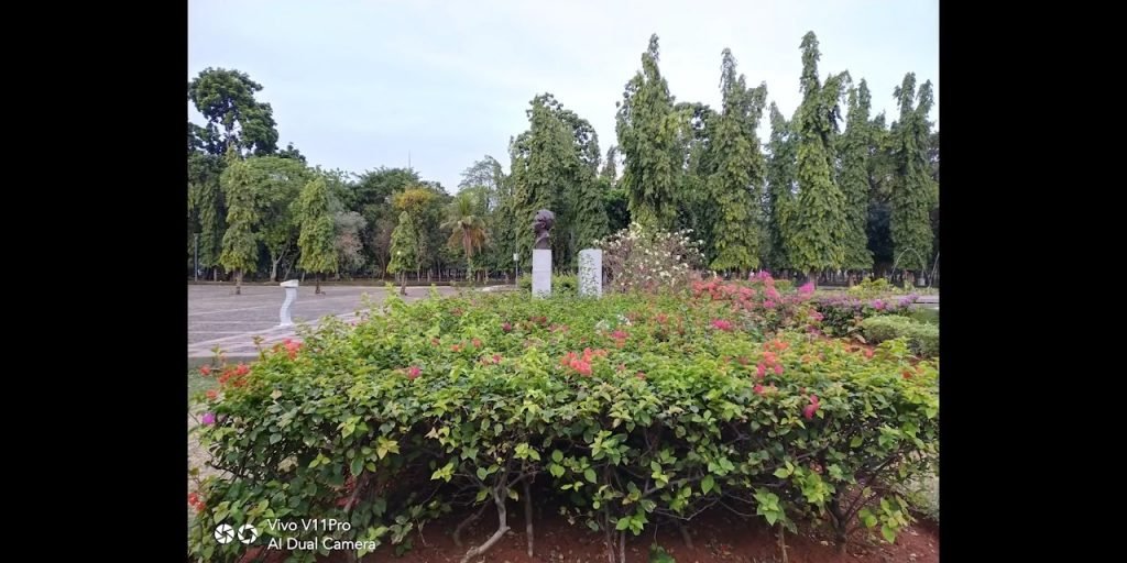 hasil AI Vivo v11 #2