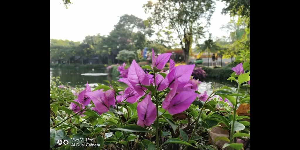 hasil AI Vivo v11 #3
