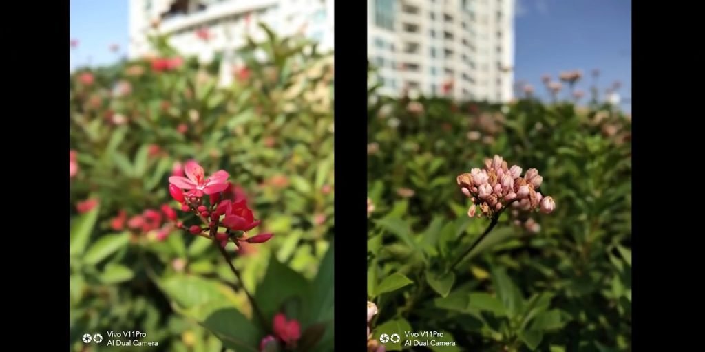 hasil AI Vivo v11 bokeh